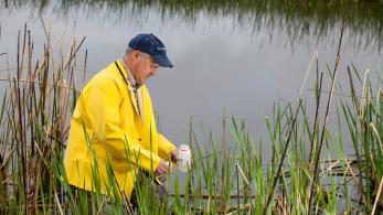 Image of a water scientist testing water quality in a marsh