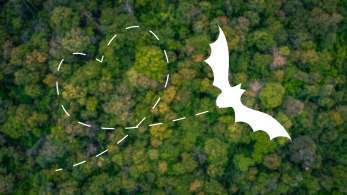 wildlife habitat