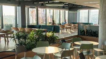 Albemarle Hungary Office Space