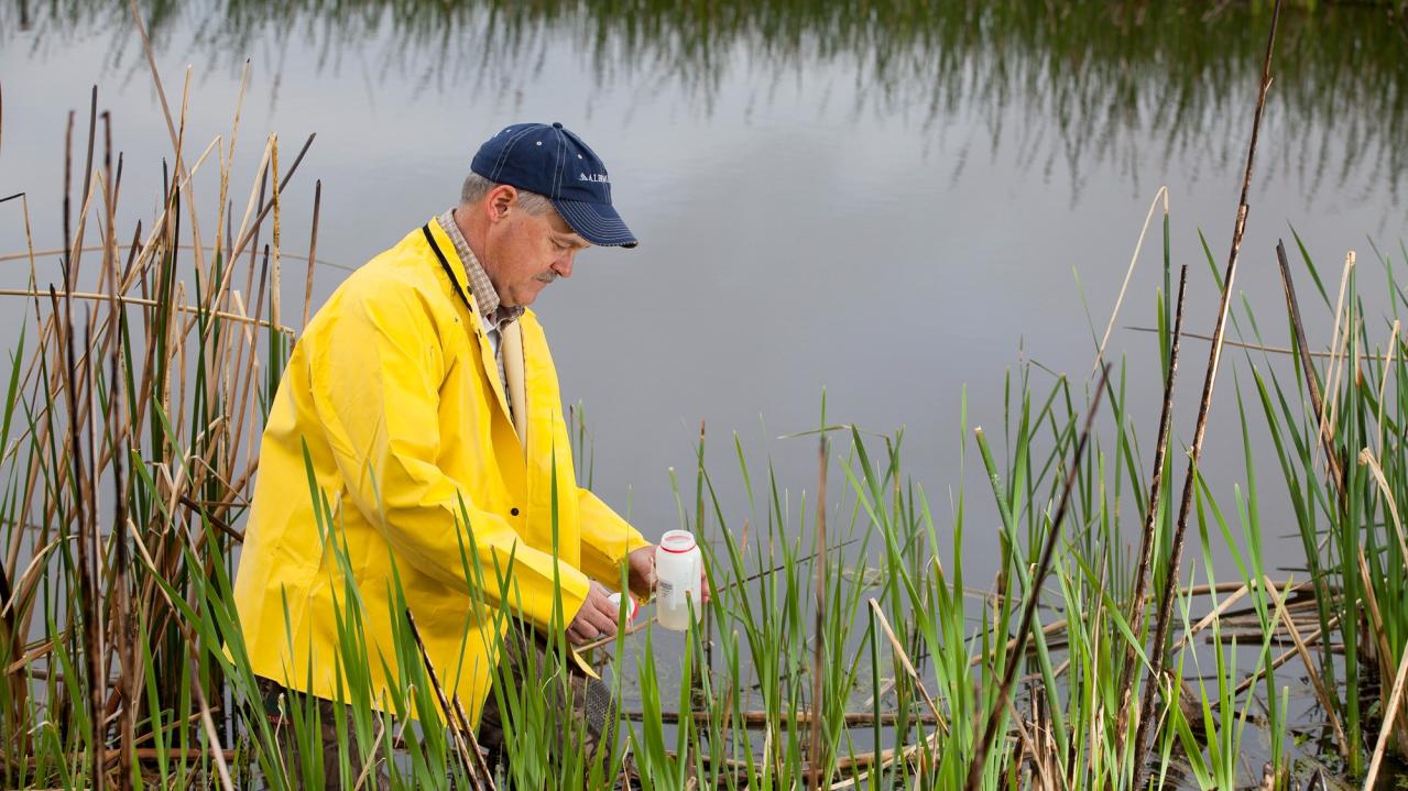 Image of a water scientist testing water quality in a marsh
