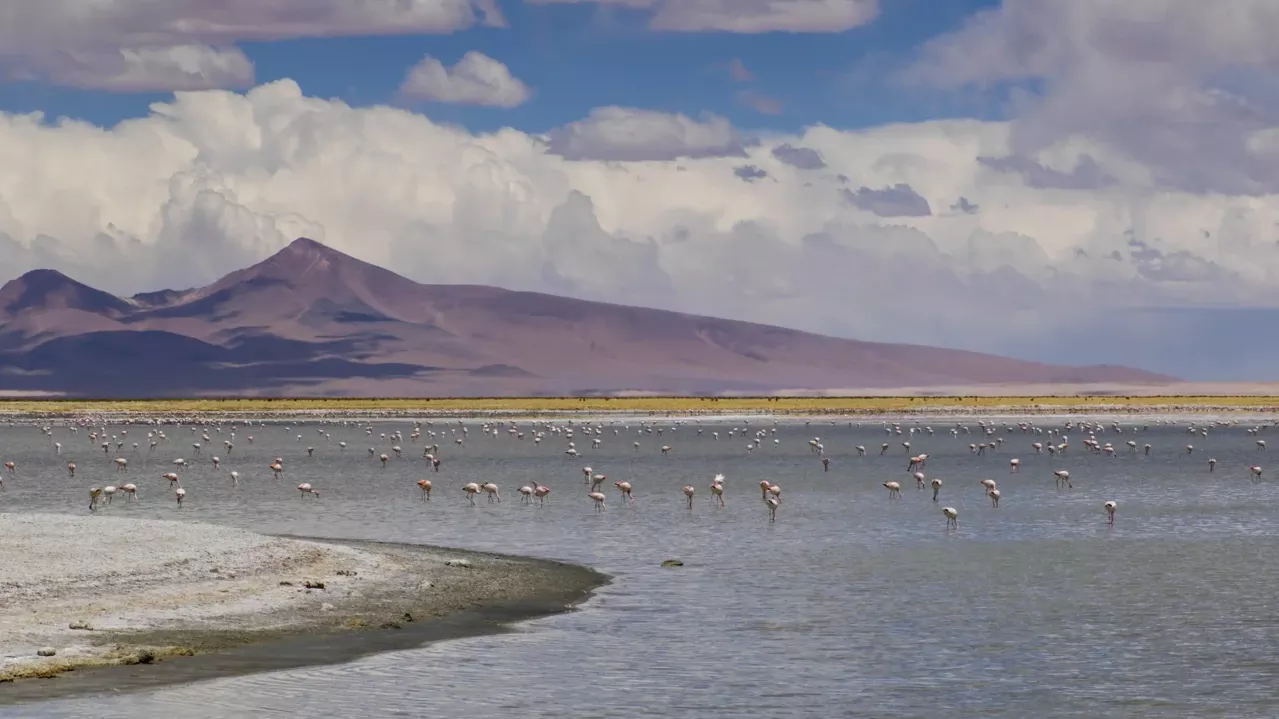 Lagoon with mountains and flamingos.