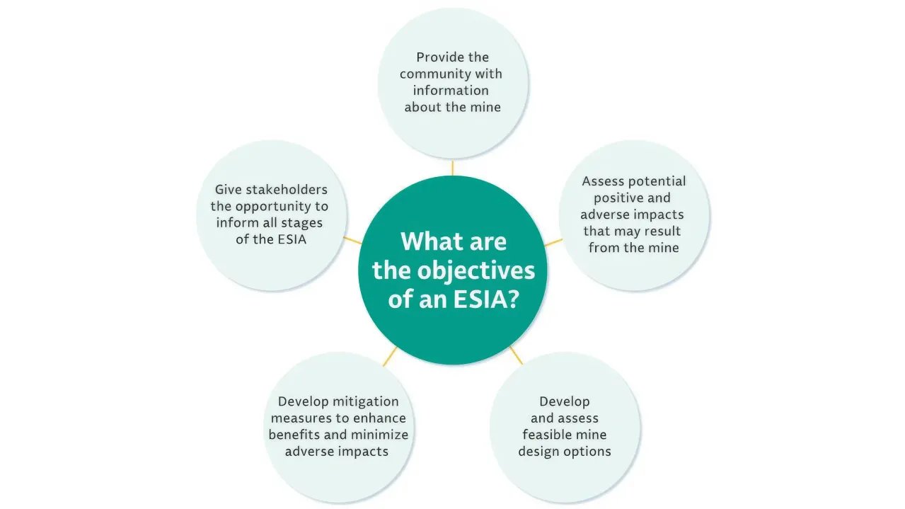 ESIA objectives infographic.
