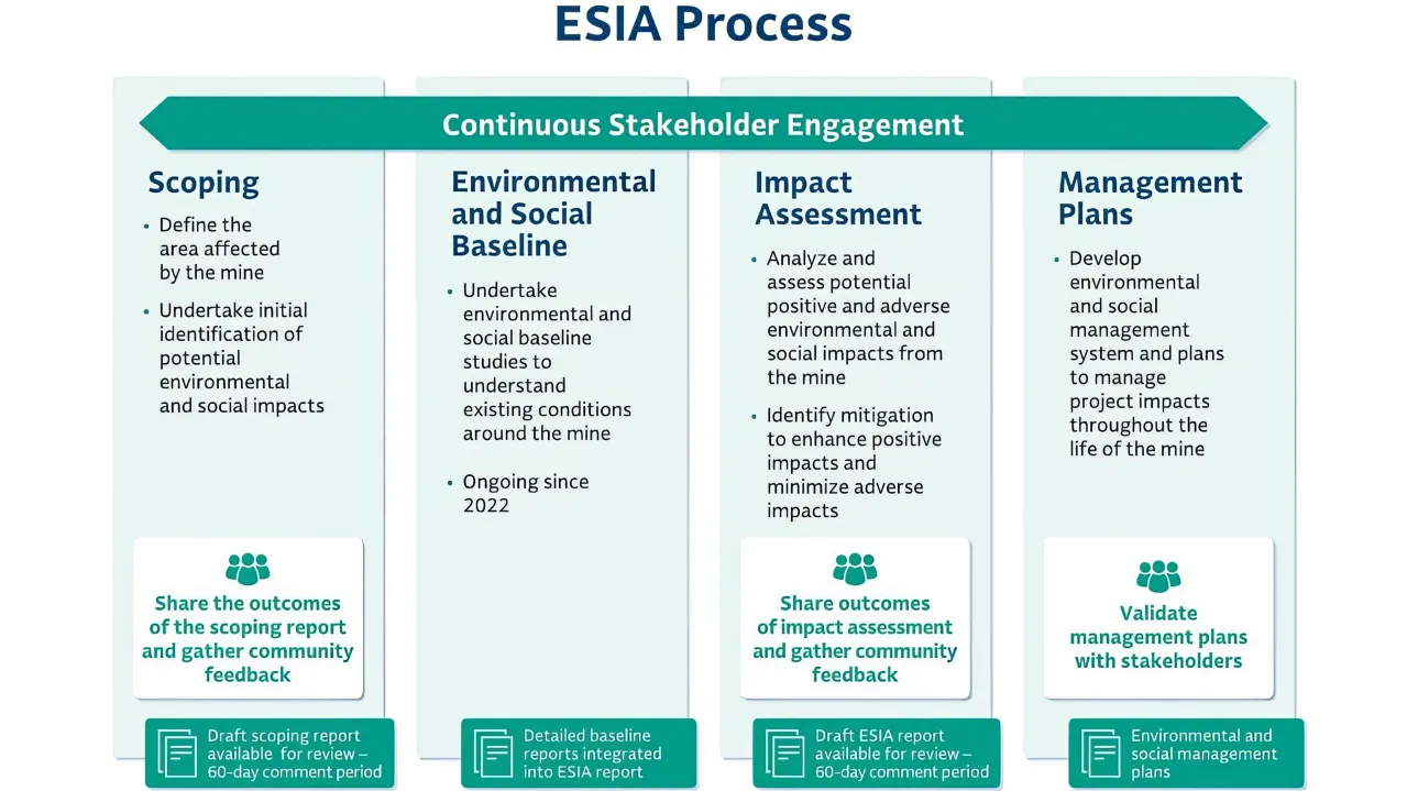 ESIA process infographic.