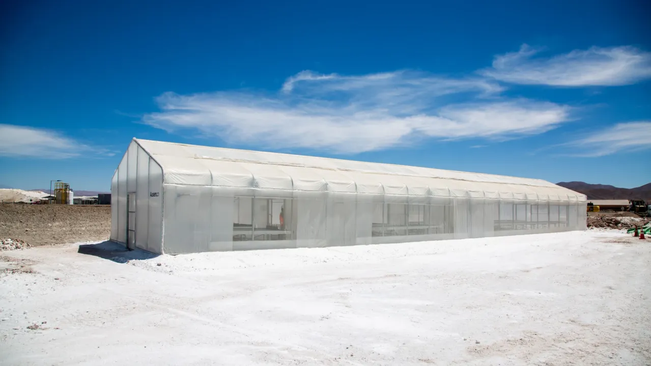 Vivero del Sala green house