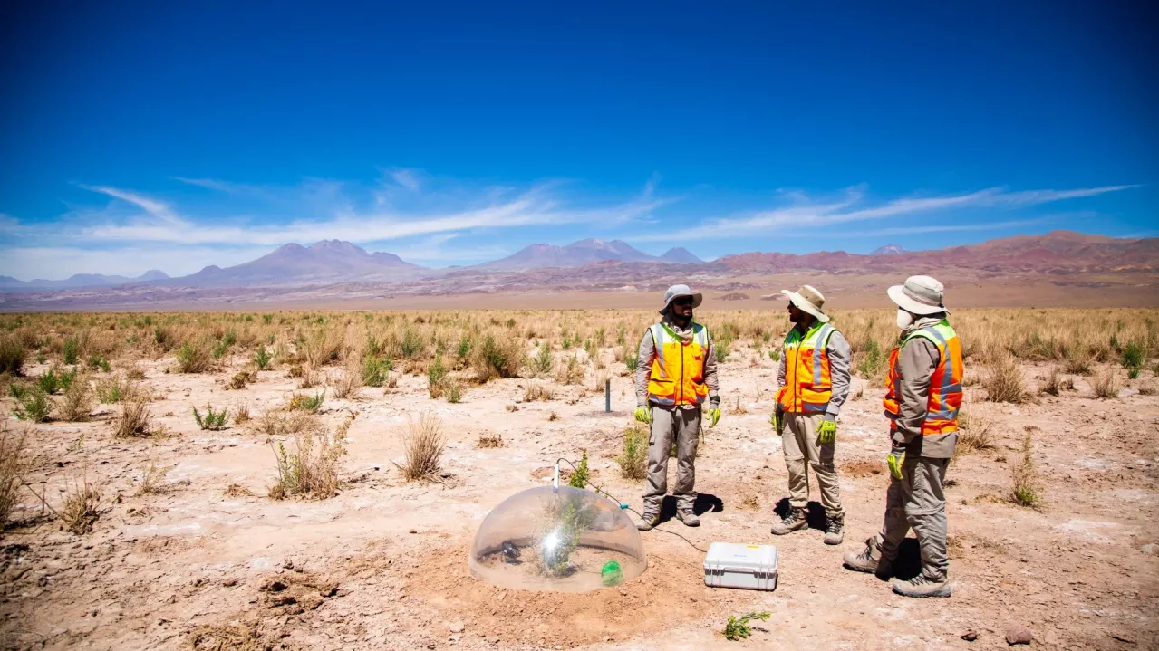 Chile Salar workers