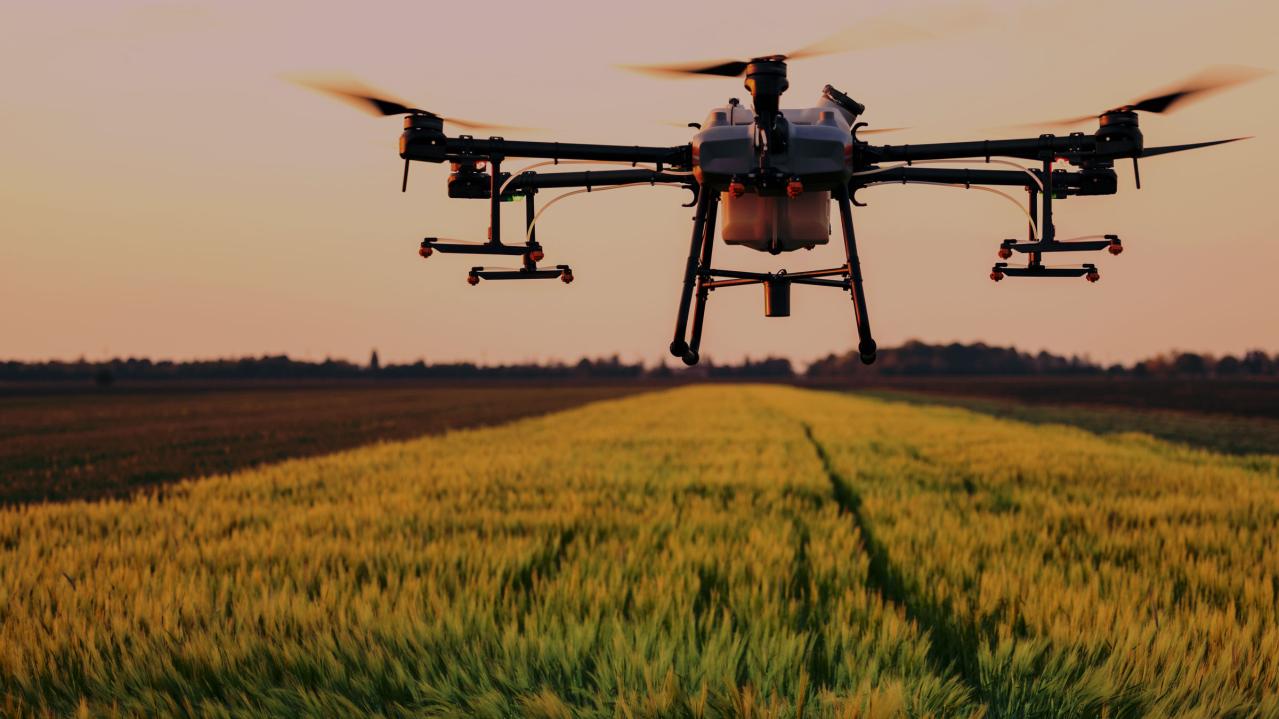 Aerial drone over grassy field