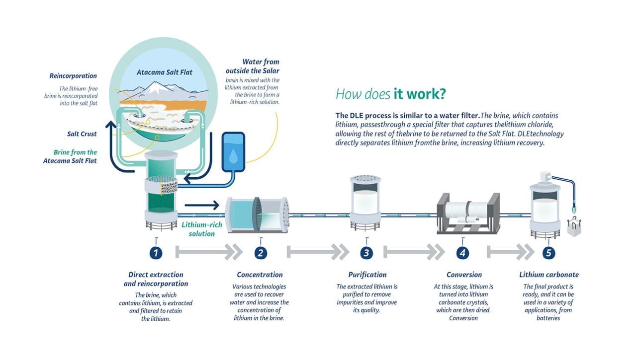 The full DLE process