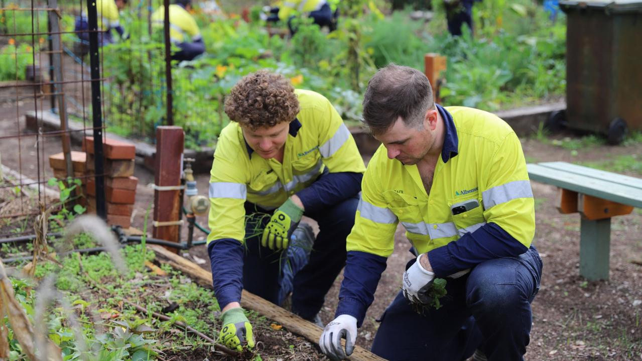 Albemarle employees helping at community garden