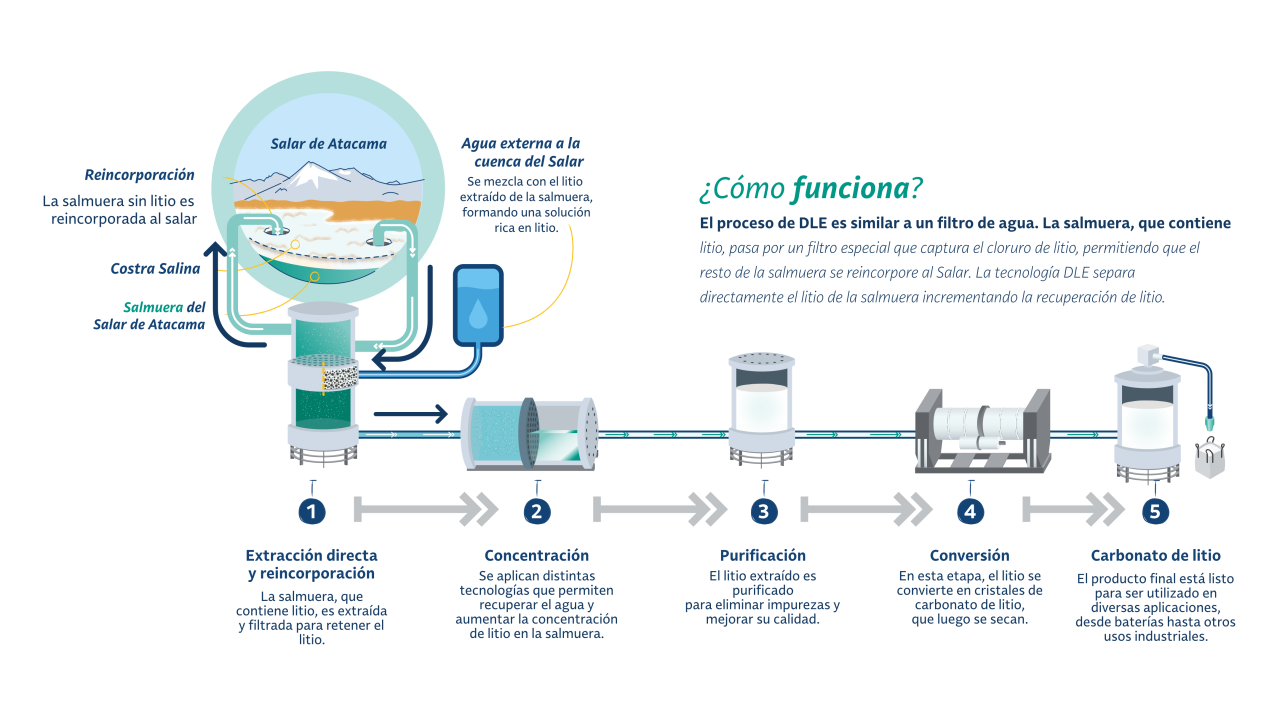 The full DLE process