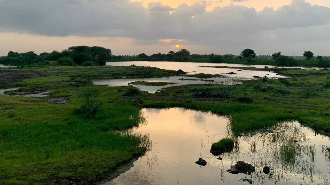 A tranquil landscape at dusk featuring a scattered water body surrounded by lush greenery and rocks, under a soft, cloudy sky reflecting gentle sunset hues.
