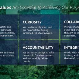 Infographic titled "Our Core Values Are Essential To Achieving Our Purpose," detailing sic values - Care, Curiosity, Collaboration, Humility, Accountability, Integrity - against a green geometric background.  Albemarle logo at bottom right.