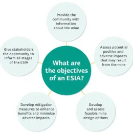 ESIA objectives infographic.