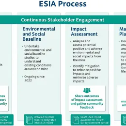 ESIA process infographic.