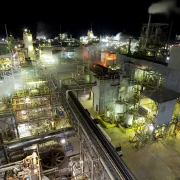 Aerial view of Magnolia plant at night. 