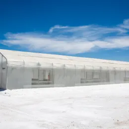 Vivero del Sala green house