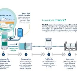 The full DLE process