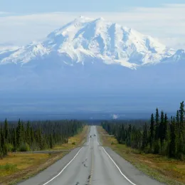 A long, straight road stretches into the distance, lined with tall green trees on either side. Majestic, snow-covered mountains dominate the background under a clear, blue sky, creating a breathtaking scenic view.