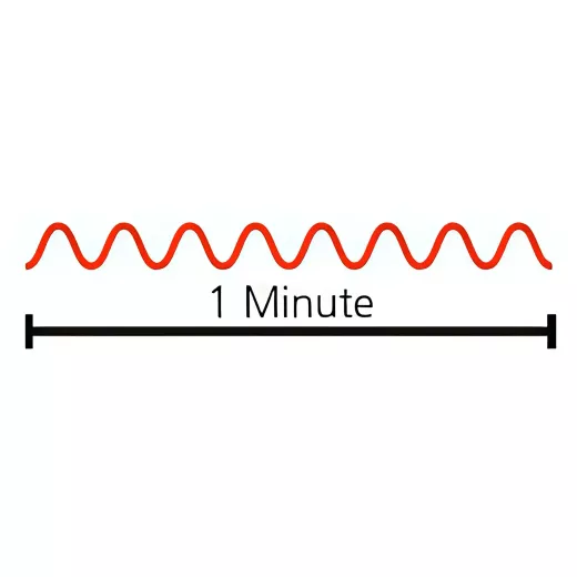 Rapid alarm 1 minute infographic.