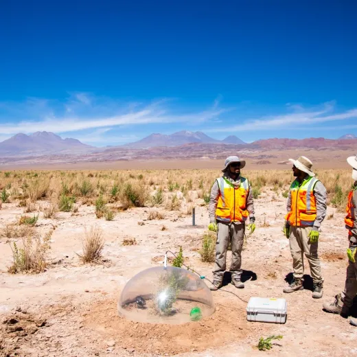 Chile Salar workers
