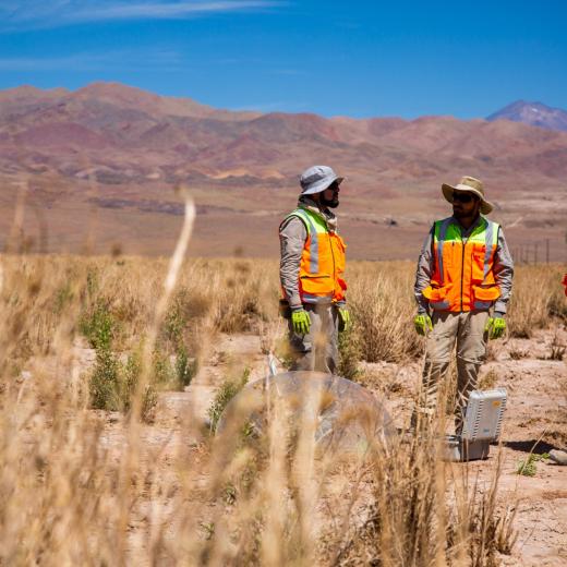 Planta Salar union members