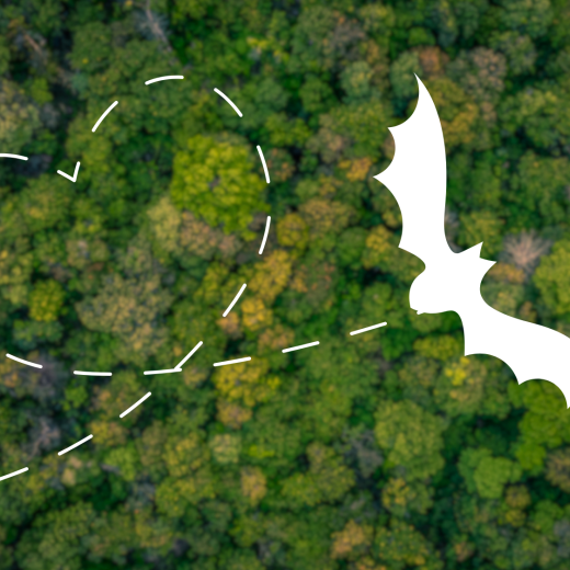 wildlife habitat