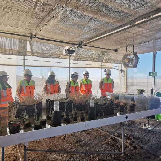A photo of Albemarle Chile employees demonstrating helpful ecological actions taken at Atacama Salt Flat 