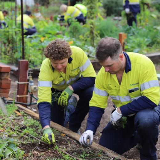 Albemarle employees helping at community garden