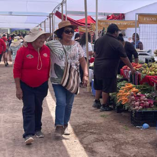 A Photo of People browsing the 2026 Camar Tomato Festival in Chile