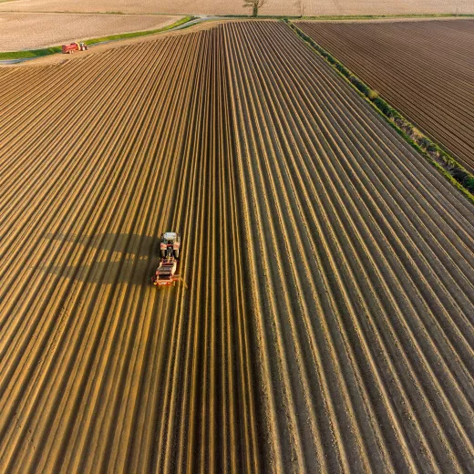 A tractor cultivating a large agricultural field displaying even, parallel furrows with a sparse, distant tree line. the sunlight casts a shadow of the tractor.