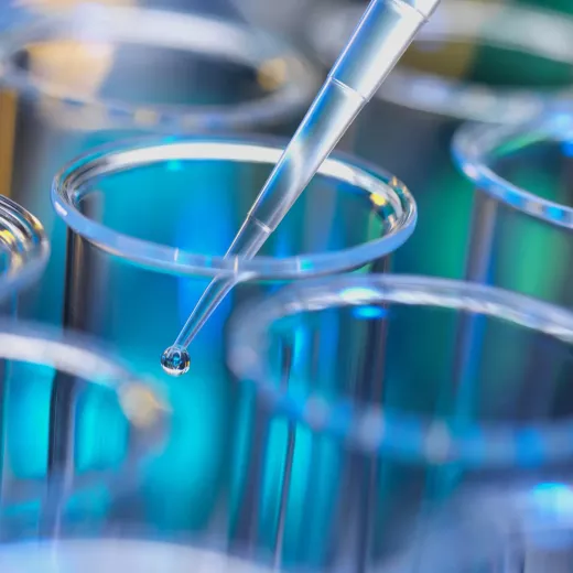 A pipette dispensing a drop of liquid into one of several test tubes in a scientific laboratory setting, highlighting precision and experimentation.