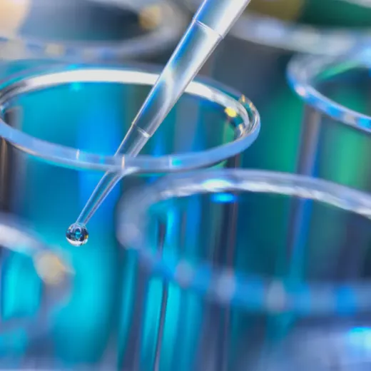 A pipette dispensing a clear liquid droplet into one of several glass test tubes, prominently displayed in a scientific laboratory setting.