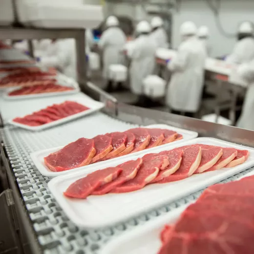 Trays of raw, sliced meat on a conveyor belt in a food processing plant, with workers in white protective gear and helmets in the background.