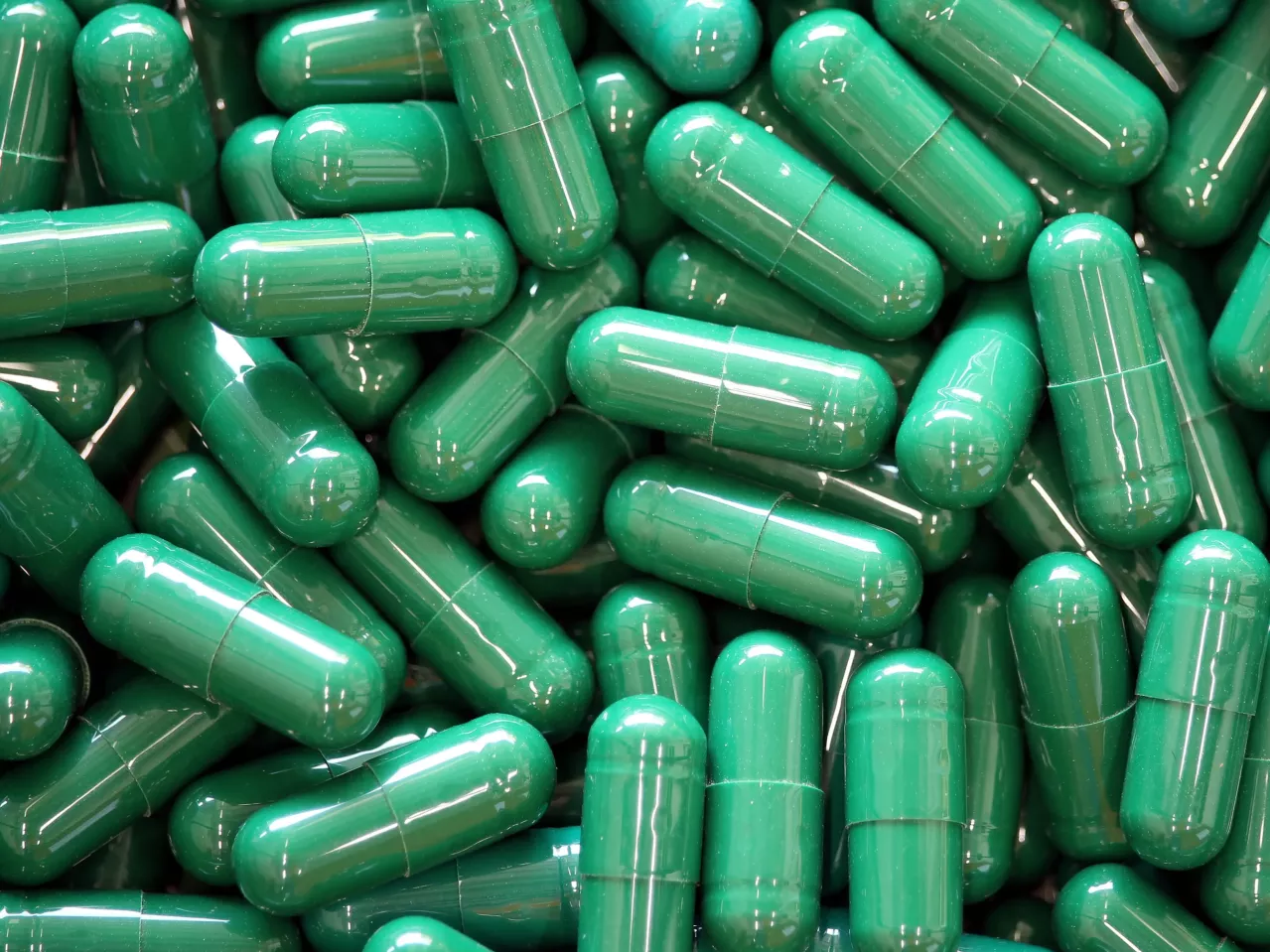 Close-up of numerous green capsules filling the frame, with visible details and textures on the capsule surfaces.