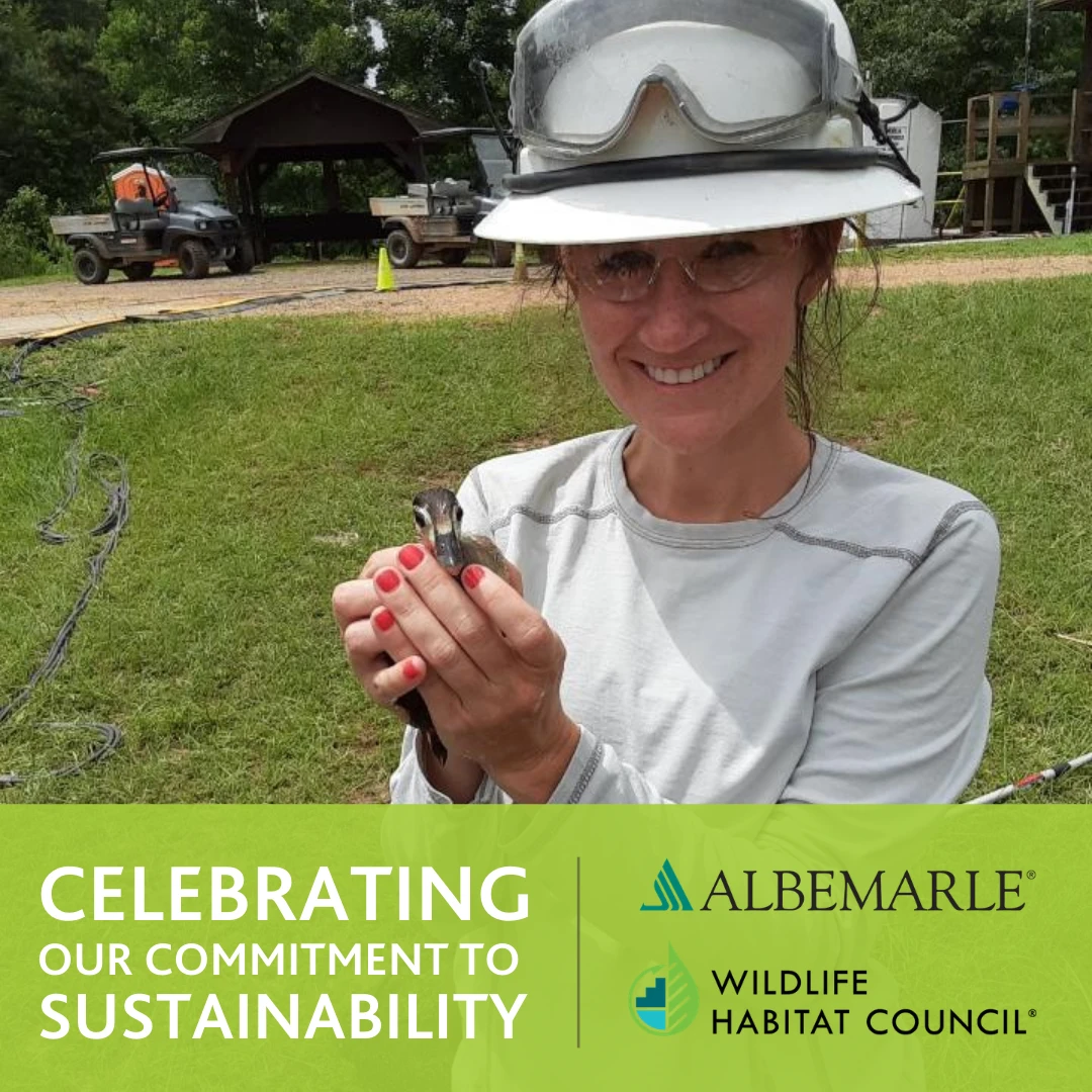 Celebrating Our Commitment to Sustainability